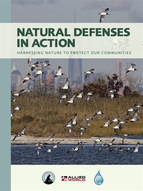Natural Defenses - Trees - Bushes - What do you recommend - raincitystudios.com