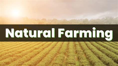 natural farming - DOA - raincitystudios.com
