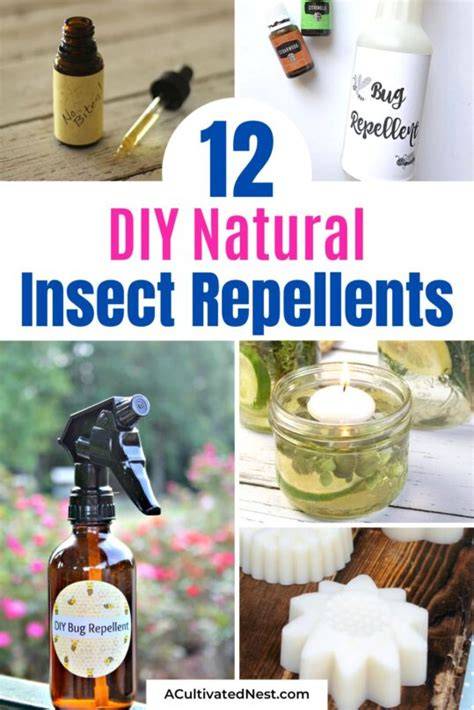 Natural insect repellents: 10 to try and more - Medical … - raincitystudios.com