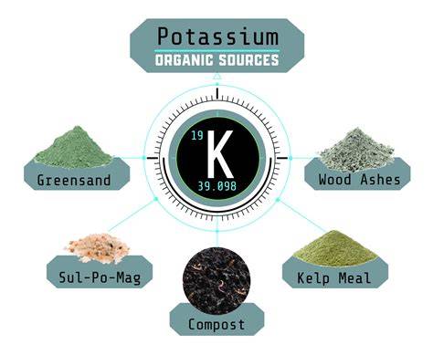 Natural Methods to Increase Potassium Fixation for Plant Health - raincitystudios.com
