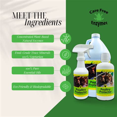 Natural Mite Spray for Chickens - Real Self-Sufficiency - raincitystudios.com