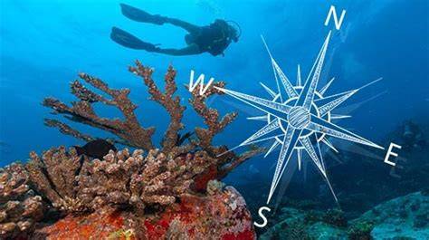 Natural Navigation Underwater - Scuba Diver Life - raincitystudios.com