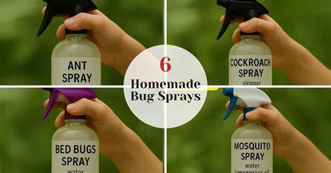 Natural Pest Control: 6 Homemade Bug Sprays - raincitystudios.com