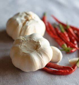 Natural Pesticides: Garlic and Chile Insecticidal Soap … - raincitystudios.com