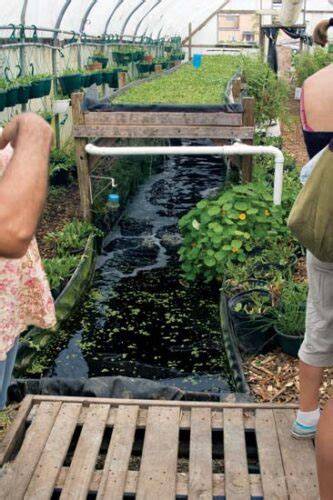 Natural Pond Aquaponics - Mother Earth News - raincitystudios.com