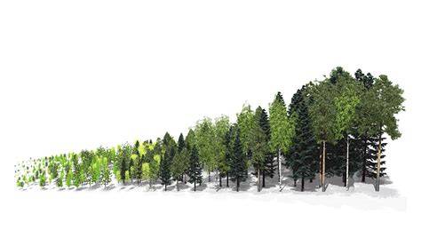 Natural regeneration | Scottish Forestry - raincitystudios.com
