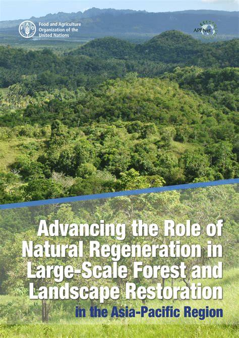 Natural regeneration as a tool for large-scale forest ... - JSTOR - raincitystudios.com