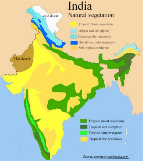 Natural Vegetation, Different Types of Forests of India - muktibox.com