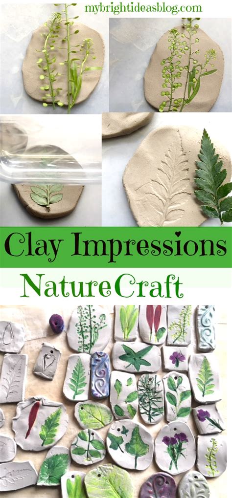 Nature Clay Impressions - Creative Active Lives - muktibox.com
