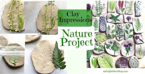 Nature Imprints With Clay - Activity For Kids - muktibox.com