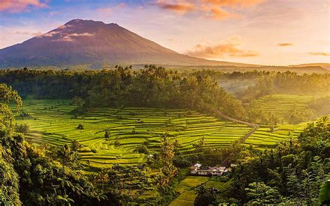 Nature Indonesia - muktibox.com