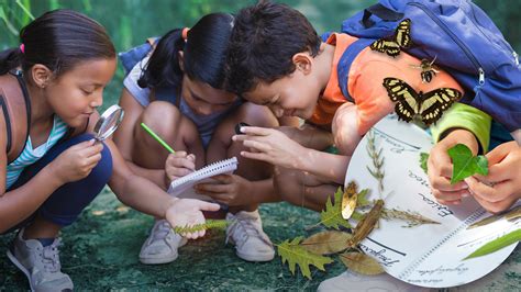 Nature Journaling for Science Exploration | Edutopia - raincitystudios.com