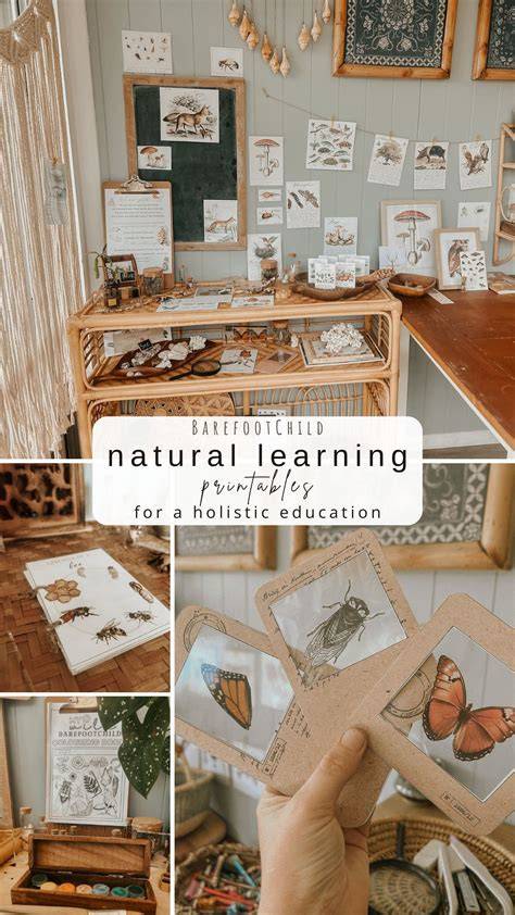 Nature Learning | Nature Classrooms - raincitystudios.com