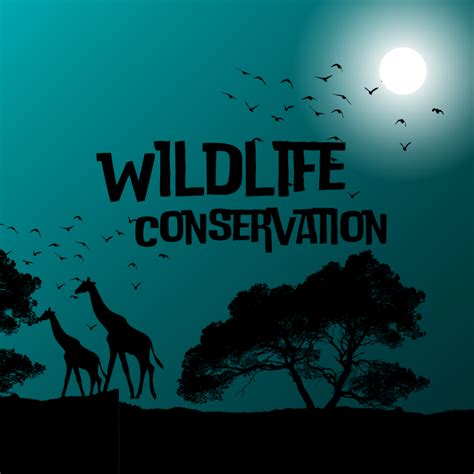 Nature reserve | Wildlife, Conservation & Preservation - raincitystudios.com