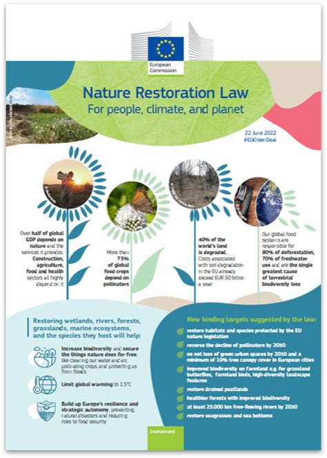 Nature Restoration Law enters into force - Environment - raincitystudios.com