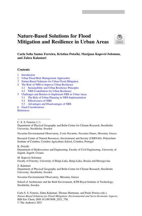 Nature-Based Solutions for Flood Mitigation and Resilience in Urban ... - raincitystudios.com