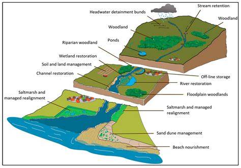 Nature-Based Solutions for Flood Risk Management - raincitystudios.com