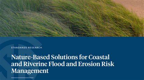 Nature-based solutions for managing rising flood risk and delivering ... - raincitystudios.com