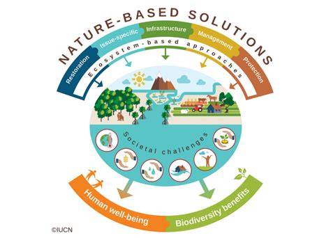 NATURE-BASED SOLUTIONS - UNEP-DHI - raincitystudios.com