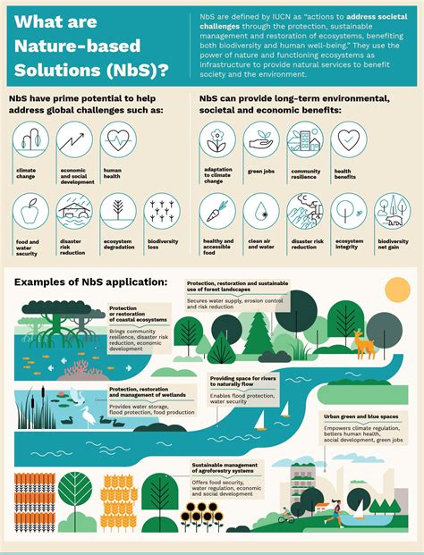 Nature-Based Solutions untuk Perubahan Iklim - raincitystudios.com