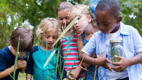 Nature-Focused Lessons for Young Students | Edutopia - raincitystudios.com