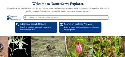 NatureServe Explorer - raincitystudios.com