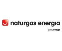 NATURGAS ENERGIA GRUPO SA - Economia3