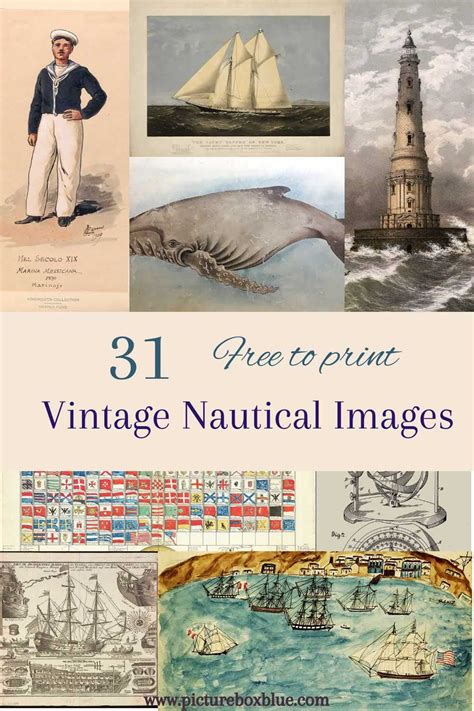 Nautical Vintage Artwork illustrations - Shutterstock - muktibox.com