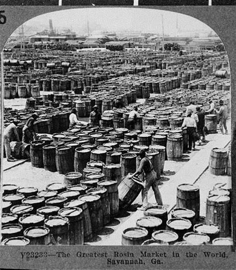Naval Stores - NCpedia - raincitystudios.com