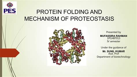 Navigating the landscape of protein folding and proteostasis: from ... - muktibox.com