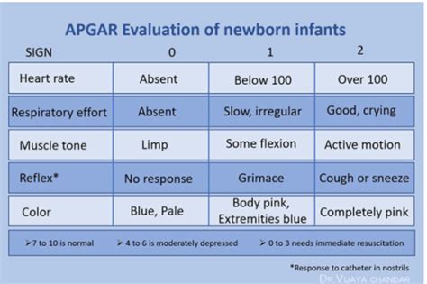 NBME Pediatrics Form 6 Step Prep