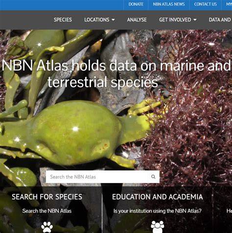 NBN Atlas - UK’s largest collection of biodiversity … - raincitystudios.com