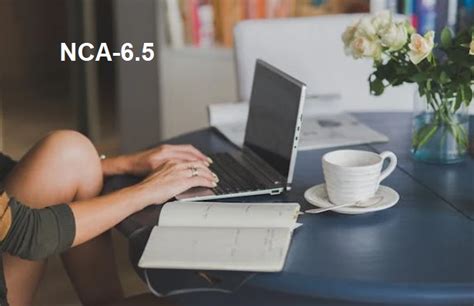 NCA-6.5 Testantworten