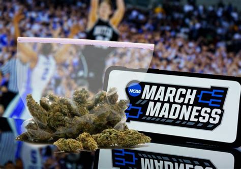 NCAA may soon remove prohibitions on cannabis use