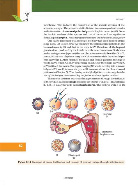 NCERT Solutions for Class 12 Biology Chapter 3 Free PDF …