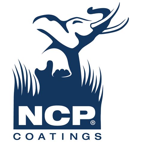 NCP-US Prüfungsmaterialien