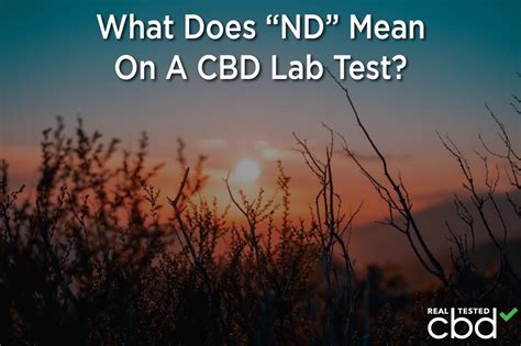 ND In CBD — What Does “ND” Mean On A CBD Lab Test?