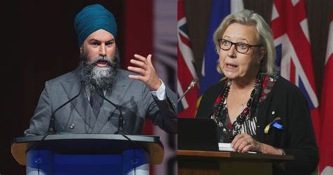 NDP and Green leaders cleared to review secret evidence on foreign meddling attempts
