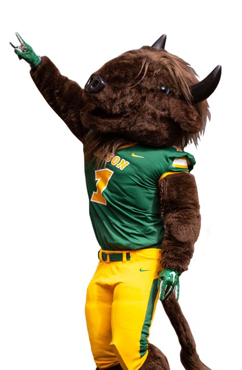 NDSU Bison Football - Facebook