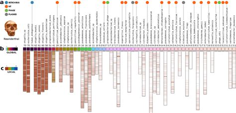 Neanderthal genome project - muktibox.com
