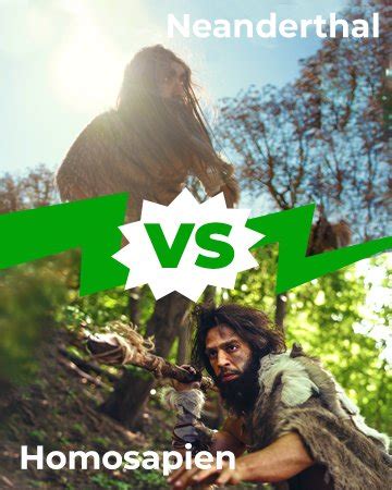 Neanderthal Vs Homosapien: Different Species Or … - wintechmobiles.com