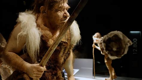 Neanderthals, Needles, and Fur Clothing - wintechmobiles.com