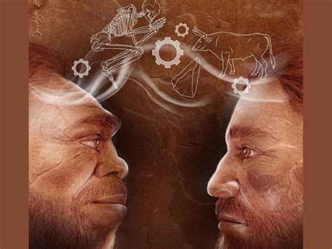 Neanderthals vs Homo Sapiens - Animals Around The … - wintechmobiles.com