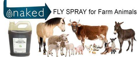 Neem Oil Fly Spray Recipe For Farm Animals - Zatural - raincitystudios.com
