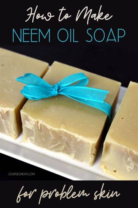 Neem Oil Soap Recipe For Plants - A Happy Garden - raincitystudios.com