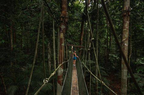 NEGARA INDONESIA taman ML & adegan klimaks musim akhir referensi lengkap 94 gerak lebih halus Sebelum versi eksklusif syok banget creampie hotel image 1
