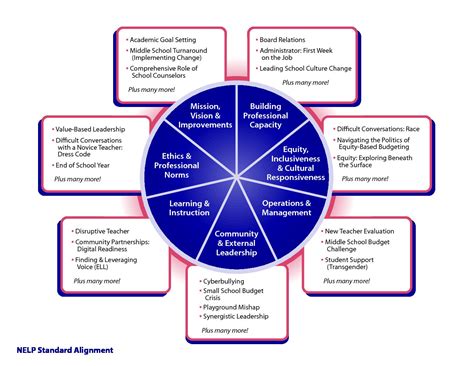 NELP Standards SchoolSims