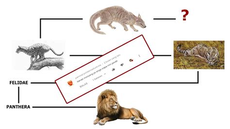 Nenek Moyang Singa - wintechmobiles.com