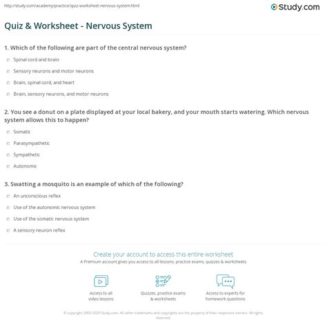 Nervous System Overview Practice Test - Quizlet - muktibox.com