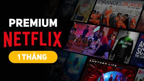 netflix premium - muktibox.com